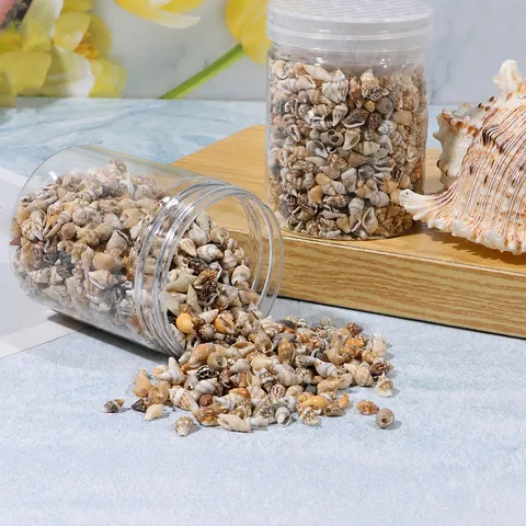 Piccole Conchiglie Naturali In Scatola DIY Bottiglia dell'Oceano Paesaggistica per Acquario Accessori Artigianali Decorazione