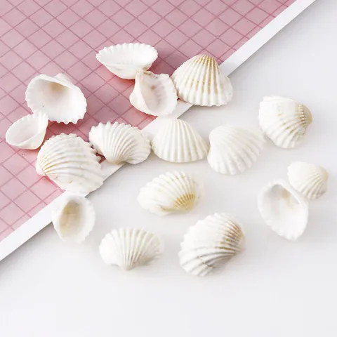 Coquillages Blancs Naturels Petits Coquillages Vrac Pour Décoration D'Intérieur Aménagement D'Aquarium Et Projets D'Artisanat DIY