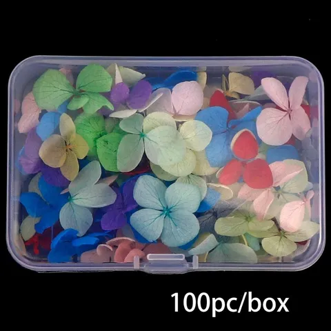 Natuurlijke Gemengde Kleur Nagel Gedroogde Bloemen Geperste Echte Bloemen Voor Nail Art Manicure DIY Ambachtelijke Bloemdecoratie