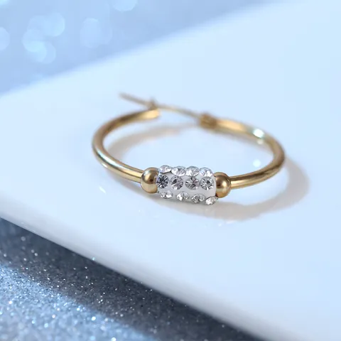 Mode Roestvrij Staal Strass Creolen Voor Vrouwen 18K Verguld Rond Geometrisch Oorbellen Dagelijks Feest Sieraden