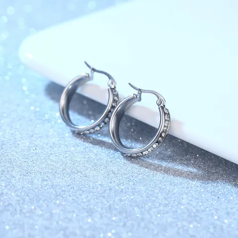 Roestvrij Stalen Zirconia Creolen Voor Dames Heren Minimalistische Kleine Cirkel Oorknopjes Mode Geometrische Sieraden