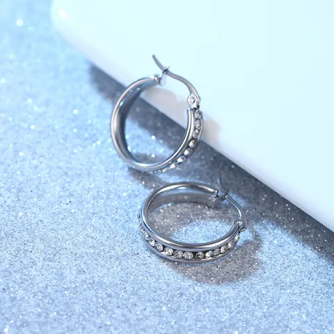 Roestvrij Stalen Zirconia Creolen Voor Dames Heren Minimalistische Kleine Cirkel Oorknopjes Mode Geometrische Sieraden