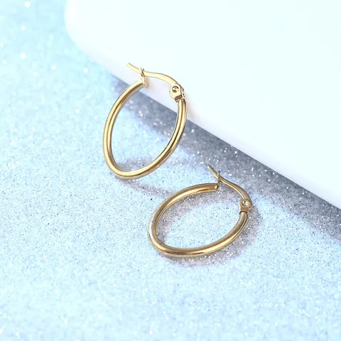 Minimalistische Geometrische Ovale Oorringen Van Roestvrij Staal Voor Dames Heren Vergulde Glanzende Mode Sieraden Cadeau