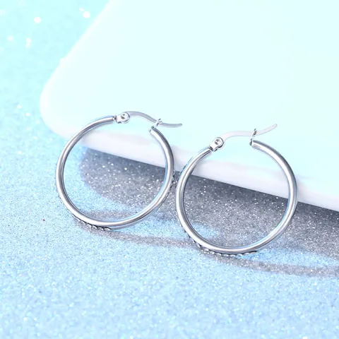 Luxe Roestvrij Stalen Creolen Voor Dames Heren 18K Vergold Geometrische Strass Halve Cirkel Oorbellen Statement Piercing Sieraden Cadeau