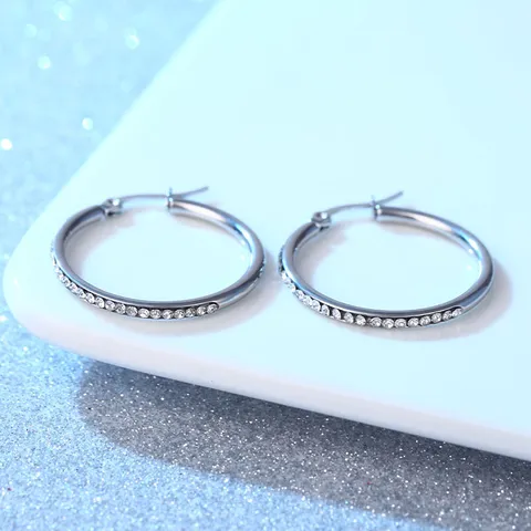 Luxe Roestvrij Stalen Creolen Voor Dames Heren 18K Vergold Geometrische Strass Halve Cirkel Oorbellen Statement Piercing Sieraden Cadeau