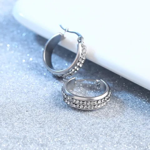 Roestvrij Staal Dubbele Rij Strass Creolen Voor Mannen Vrouwen Geometrische Ronde Oorwiel Mode Pendelen Dagelijkse Sieraden Cadeau