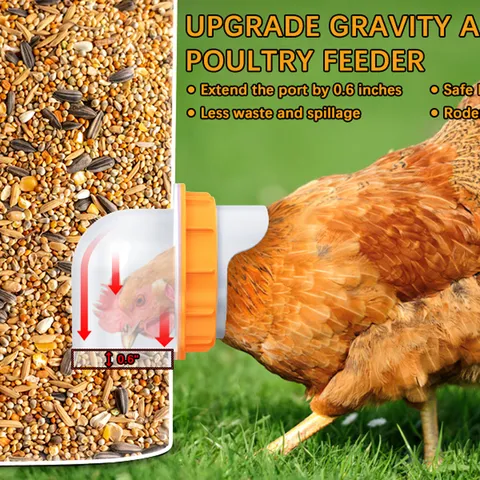 Automatic Chicken Feeder Poultry Feeding Port Kit Rainproof Weatherproof Chicken Duck Feeder DIY Gravity Feed Kit