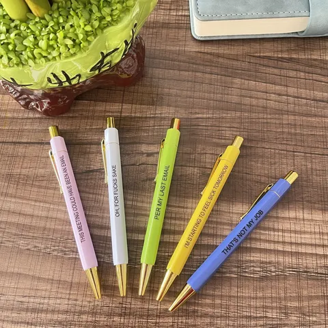 Funny Offensive Novelty Ballpoint Pen Set Creative Slogan Retractable Plastic Pens For Office School Writing Gift