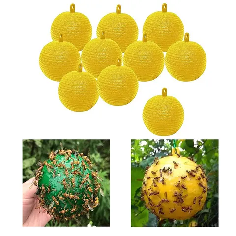 Pallina Trappola Per Moscerini Della Frutta Gialla E Verde Pallina Adesiva Controllo Parassiti Per Frutteto Giardino