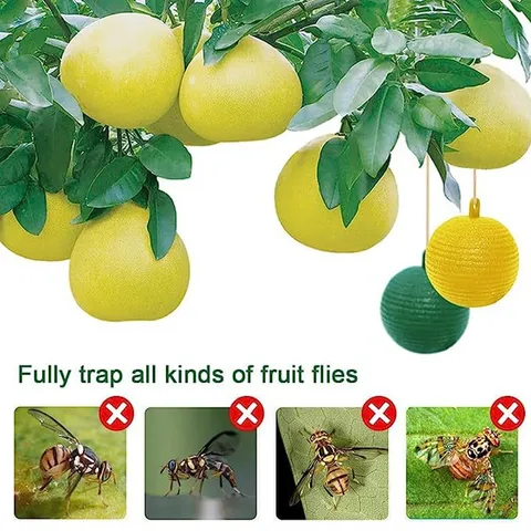 Pallina Trappola Per Moscerini Della Frutta Gialla E Verde Pallina Adesiva Controllo Parassiti Per Frutteto Giardino