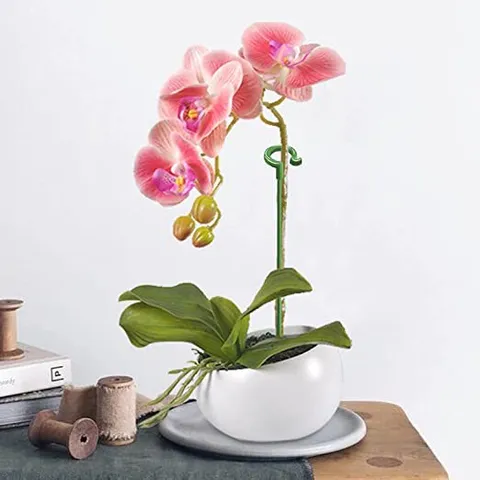 Green Plastic Phalaenopsis Plant Support Stakes Garden Flower Stem Support Rings For Potted Plants Home Gardening