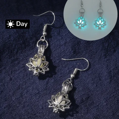 Hollow Luminous Drop Earrings Zinc Alloy Silver Plated Locket Cage Glow In The Dark Heart Turtle Owl Animal Earrings For Women Jewelry