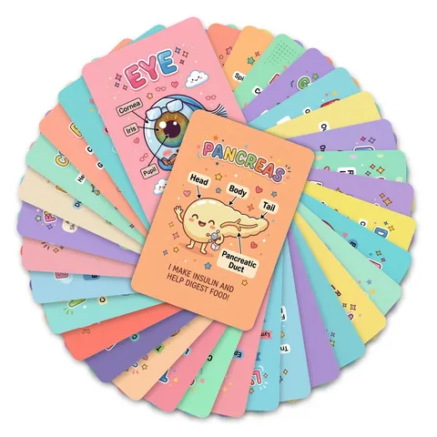 Anatomy Flash Cards Human Organs Inside Cells Educational Cards Kids Learning Illustration Cards Gift Card Neutral Packaging