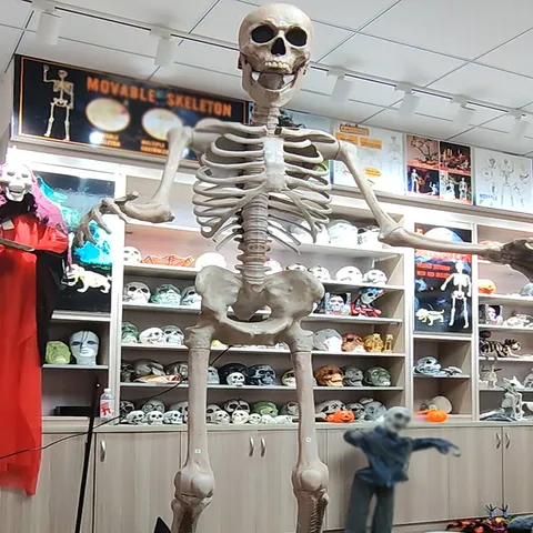 Squelette d'Halloween Géant de Taille Réelle Accessoire Assemblé Effets Sonores Électriques Grande Décoration d'Os Humain Pour Jardin Fête Horreur