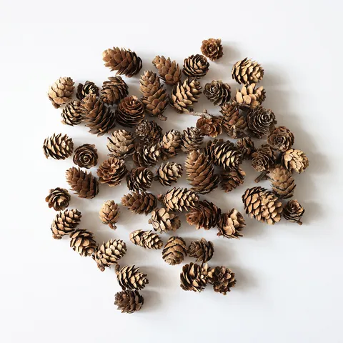 Natural Pine Cones Christmas Tree Decoration Ornaments Dried Pinecones For DIY Holiday Crafts And Home Table Centerpiece Decorations