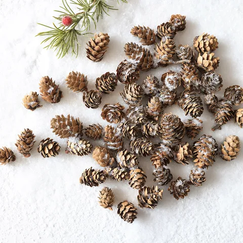 Natural Pine Cones Christmas Tree Decoration Ornaments Dried Pinecones For DIY Holiday Crafts And Home Table Centerpiece Decorations