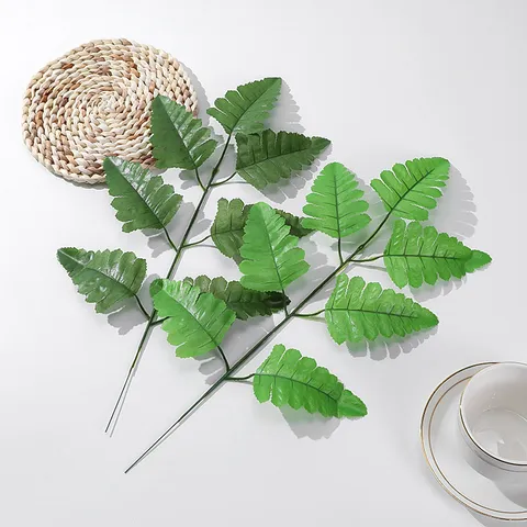 Technita Fylla Monstera Kai Boston Fern Prasina Fyta Metaxota Fylla Gia Parti Gamou Diakosmisi Spitiou Anthokomiki Synthesi