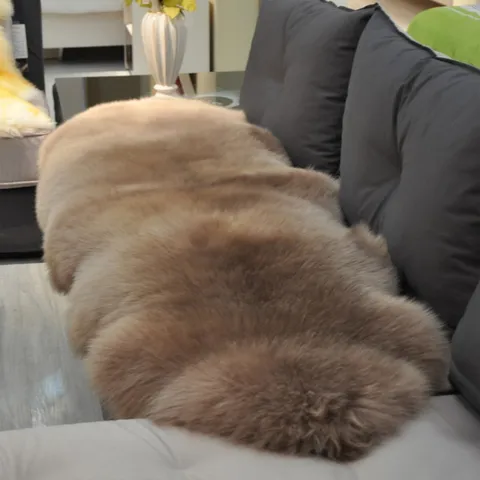 Pure Wool Sofa Cushion Whole Wool Rug Living Room Carpet Fluffy Soft Natural Animal Pelt Shape Home Decor Mat