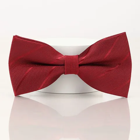 Nœud Papillon Formel pour Hommes Soie de Polyester Classique Affaires Mariage Marié Smoking Nœud Réglable