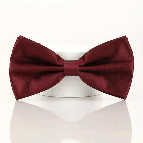 Noeud Papillon Double Couche Lisse Classique pour Hommes Mariage Marié Témoin Smoking Affaires Formnel
