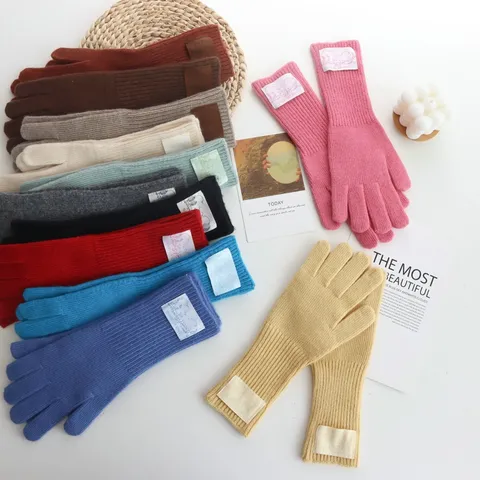 Gants en Laine Mode Coréenne pour Femmes Hiver Chaud Coupe-vent Écran Tactile Long Tricot Couleur Unie Écusson Gants à Doigts