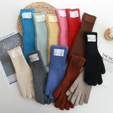 Gants en Laine Mode Coréenne pour Femmes Hiver Chaud Coupe-vent Écran Tactile Long Tricot Couleur Unie Écusson Gants à Doigts