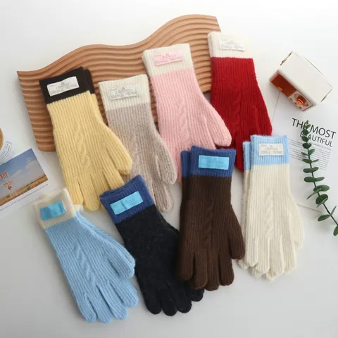 Korean Style Color Block Contrast Patchwork Knitted Gloves Warm Winter Thick Knit Full Finger Coldproof Gloves With Label Decoration For Women Students Everyday Daily Wear