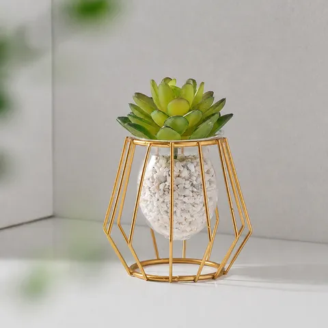 Vaso in Vetro Geometrico di Lusso Moderno Supporto in Metallo Dorato Contenitore per Piante Idroponiche Decorazione da Scrivania Arredamento