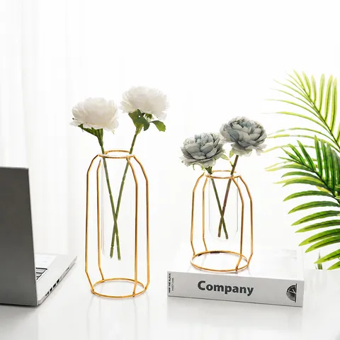 Nordischer Stil Goldenes Eisen Kunst Glas Reagenzglas Vase Kreative Wohnzimmer Esstisch Desktop Dekorative Blumenarrangement Ständer