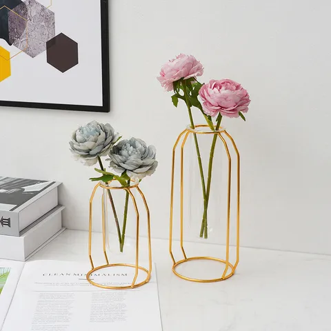 Nordic Style Golden Iron Art Glass Test Tube Vase Creative Living Room Dining Table Desktop Decorative Flower Arrangement Stand