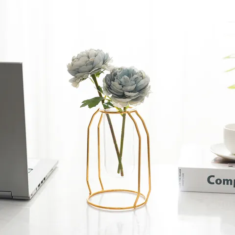 Nordic Style Golden Iron Art Glass Test Tube Vase Creative Living Room Dining Table Desktop Decorative Flower Arrangement Stand