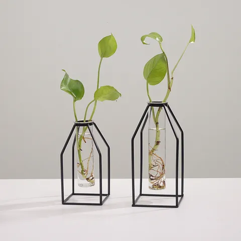 Nordic Minimalist Geometric Iron Art Transparent Glass Hydroponic Vase Ornament Living Room Dry Flower Arrangement Home Decor