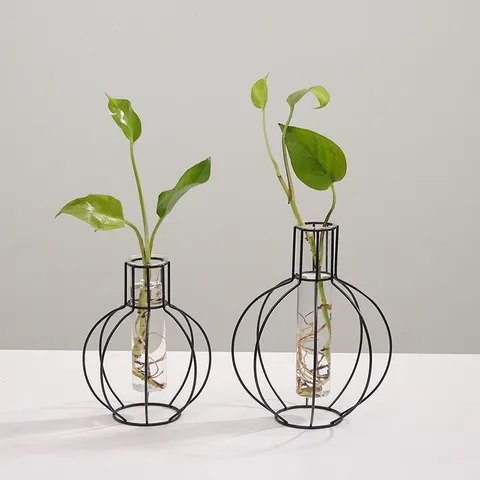 Nordic Minimalist Geometric Iron Art Transparent Glass Hydroponic Vase Ornament Living Room Dry Flower Arrangement Home Decor