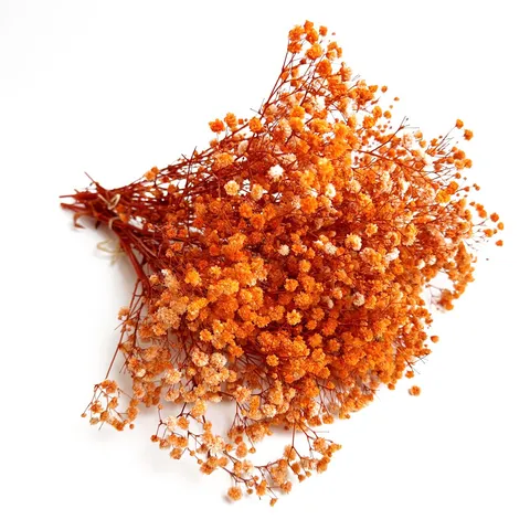 Natural Dried Baby's Breath Flowers Bouquet Real Preserved Flowers For Wedding Home Decor DIY Floral Arrangements Gift
