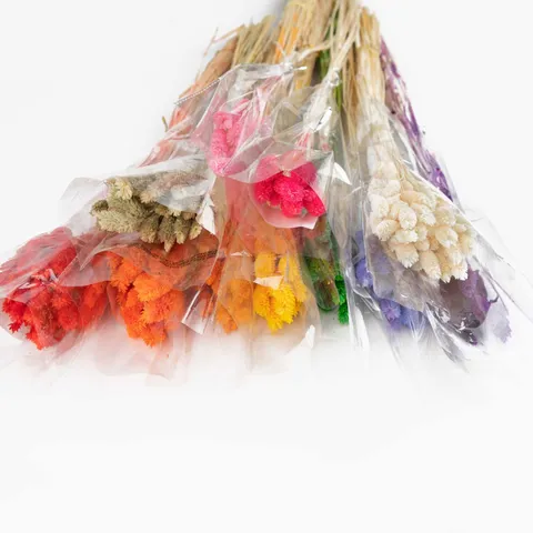 Ramo de Flores Secas Naturales Hierba de la Pampa Colas de Conejo Cañas Plantas para Decoración del Hogar Sala de Estar Boda Fiesta