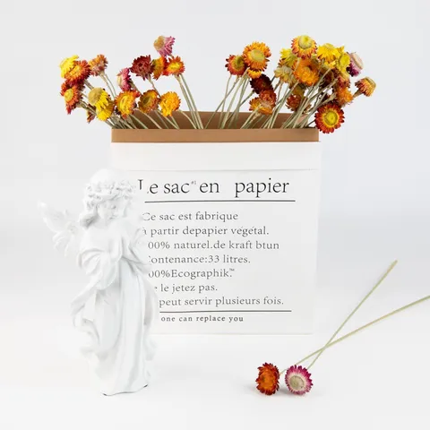 Natural Dried Flower Bouquet Colorful Strawflower Dried Plants For Home Decor DIY Floral Arrangement Room Decor