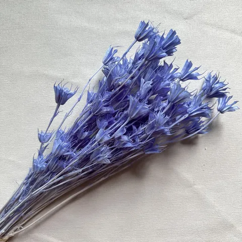Ramo de Flores Secas Naturales Paquetes de Flores de Estrella Arreglo Floral DIY Decoración del Hogar