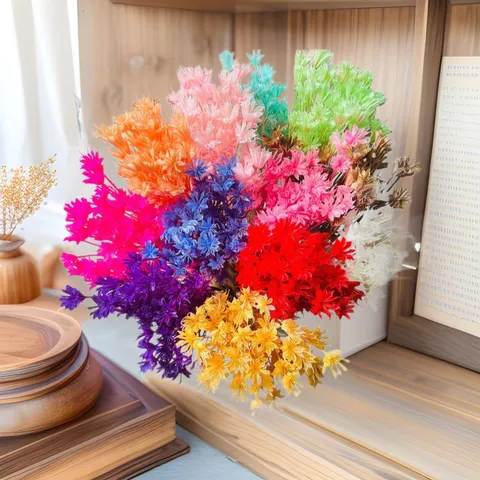 Ramo de Flores Secas Naturales Paquetes de Flores de Estrella Arreglo Floral DIY Decoración del Hogar