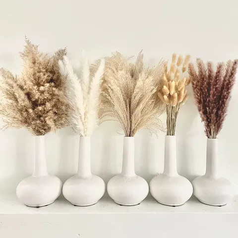 Ramo de Hierba de la Pampa Seca Natural Flores Secas Plantas Naturales para Decoración del Hogar Sala de Estar Boda Fiesta