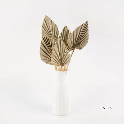 Hojas de Palma Secas Naturales Mini Abanico En Zigzag Flores Secas Para Decoración Floral De Bodas En El Hogar