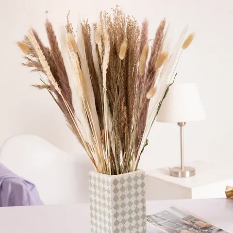 Estilo Nórdico Ramo De Hierba De La Pampa Seca Natural Flores Secas Decoración Del Hogar