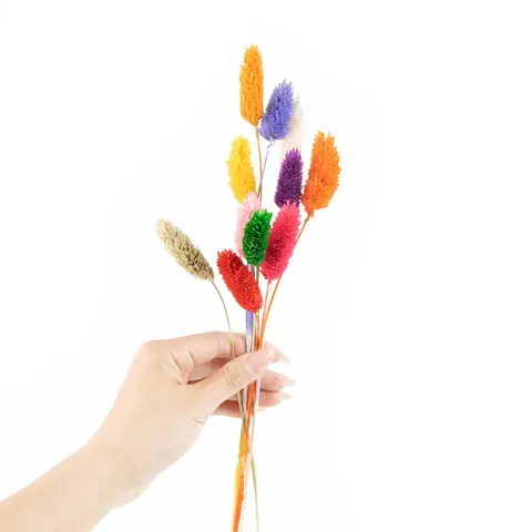 Ramo de Flores Secas Naturales Hierba de la Pampa Colas de Conejo Cañas Plantas para Decoración del Hogar Sala de Estar Boda Fiesta