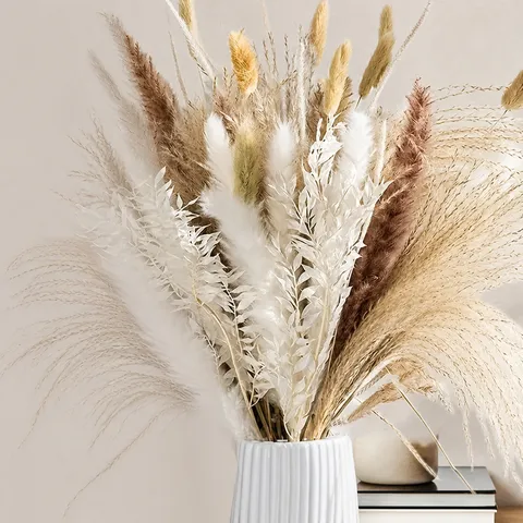 Estilo Bohemio Ramo de Flores Secas Naturales Hierba de las Pampas Cola de Conejo Carrizo Decoración de Mesa para Hogar