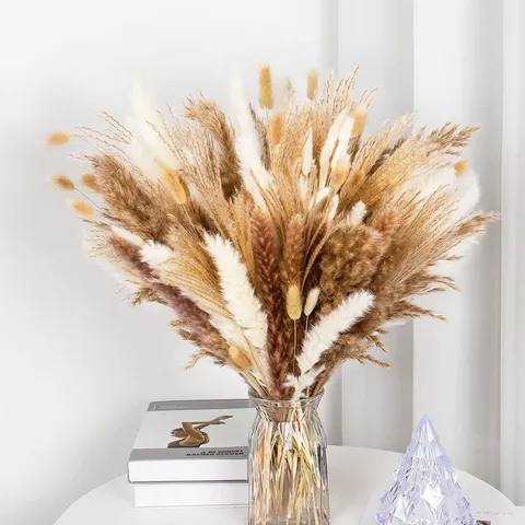 Bouquet d'Herbe de la Pampa Séchée Naturelle Roseaux Moelleux Queues de Lapin Fleurs Séchées pour Décoration d'Intérieur Salon Vase Arrangement