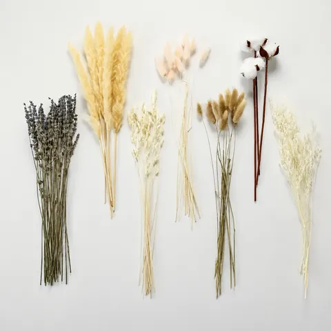Ramo de Flores Secas Naturales Hierba de la Pampa Colas de Conejo Y Algodón Para Decoración De Mesa De Sala De Estar Estilo Nórdico Hogar