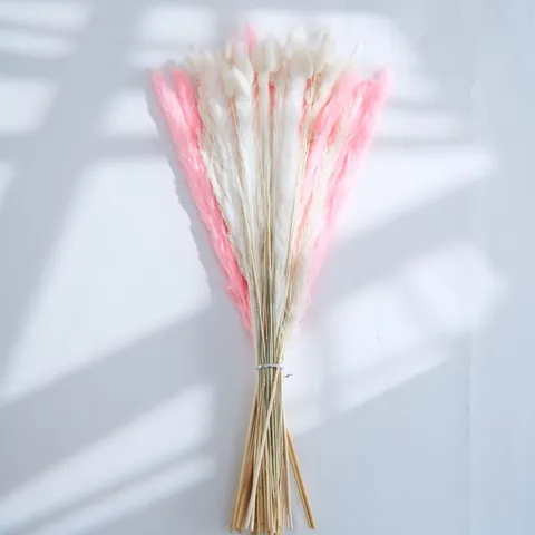 Bouquet de Fleurs Séchées Naturelles Petit Roseau Herbe Queue de Lapin Décoration Intérieure Arrangement Floral Cadeau Botanique