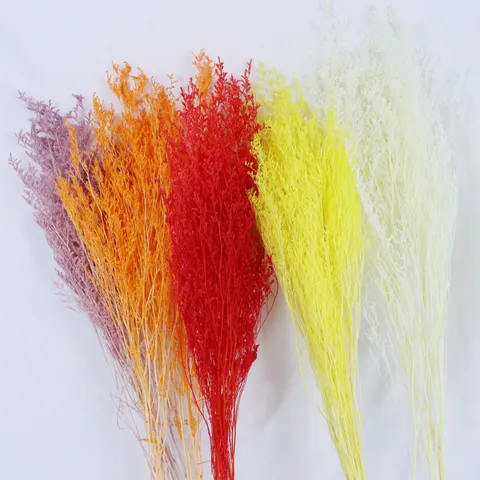 Natural Dried Flowers Bouquet Preserved Statice Flower Bunch For Home Wedding Decor Floral Arrangement Gift