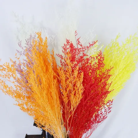 Natural Dried Flowers Bouquet Preserved Statice Flower Bunch For Home Wedding Decor Floral Arrangement Gift