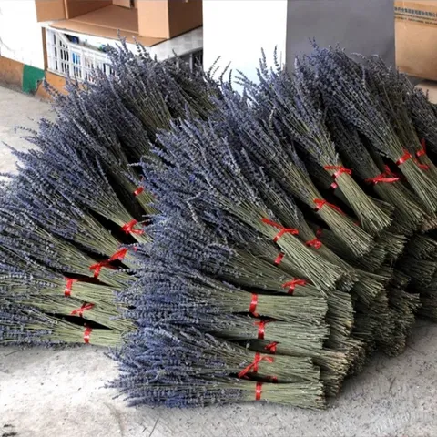 Mazzo di Fiori di Lavanda Secchi Naturali Aromatherapia Bouquet di Lavanda Secca Sfuso per Decorazione Casa Stanza Matrimonio