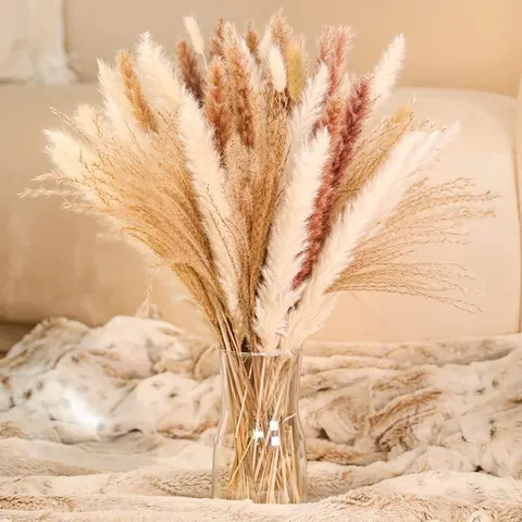 Ramo de Hierba de la Pampa Seca Natural Hierba de Cola de Conejo Arreglo Floral Para Decoración del Hogar Boda Fiesta